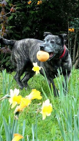 168飞艇官方网站图片